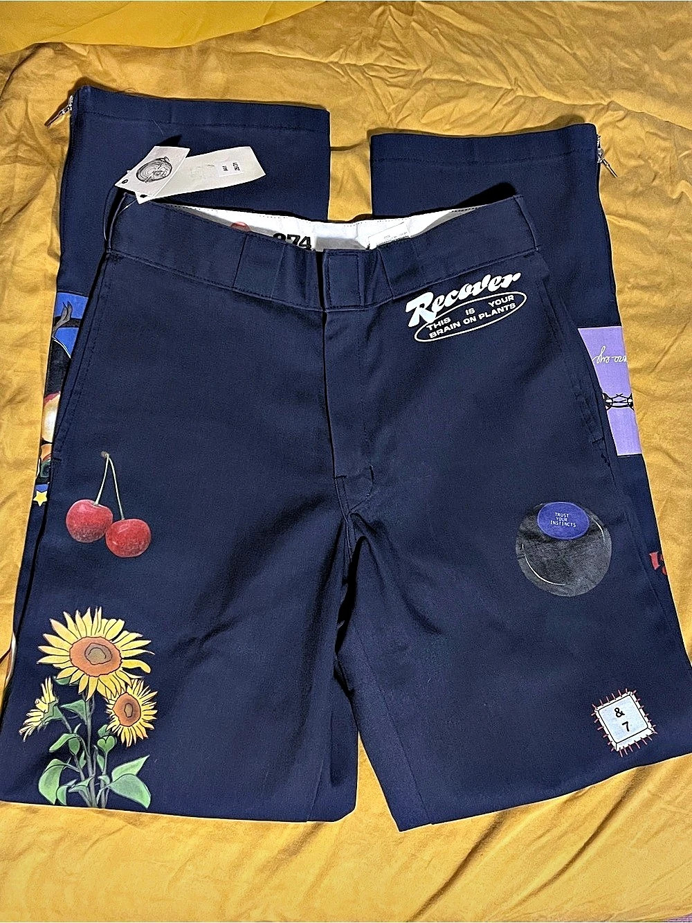 Dickies “brain on plants” in Blue Waist 30 NWT